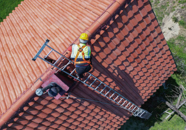 Best Rubber Roofing (EPDM, TPO)  in Rosemont, CA